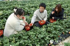 新春走下层丨“新疆场”上立新功