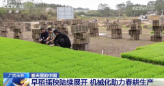 万象“耕”新不负春 但愿的郊野上农业现代化图