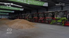 <b>核心｜科技若何点亮农人但愿 奏响丰收乐章</b>